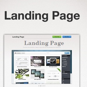 landing page